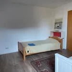 Rent 4 bedroom apartment of 100 m² in Ratingen