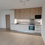 Rent 2 bedroom apartment of 59 m² in Brno