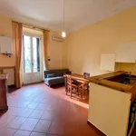 Rent 1 bedroom apartment of 50 m² in milano