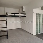 Rent 1 bedroom apartment of 40 m² in České Budějovice