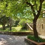 Rent 9 bedroom house of 300 m² in Montese