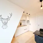 Rent 1 bedroom apartment in Leuven