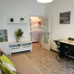 Rent 2 bedroom apartment of 60 m² in Milano