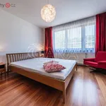 Rent 3 bedroom apartment of 95 m² in Praha