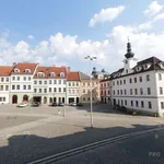 Rent 1 bedroom apartment of 42 m² in Hradec Králové