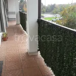 Rent 2 bedroom apartment of 50 m² in Busto Arsizio