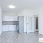 Rent 1 bedroom apartment in Chrudim