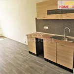 Rent 1 bedroom apartment of 26 m² in Chodov