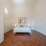 Rent 2 bedroom apartment of 35 m² in Modena