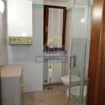 Rent 2 bedroom apartment of 60 m² in Cremona