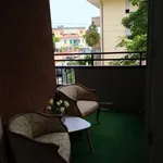 Rent 1 bedroom apartment in Padua