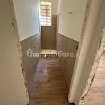 Rent 2 bedroom apartment of 55 m² in Bologna