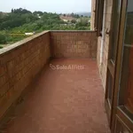 Affitto 5 camera appartamento di 87 m² in Siena