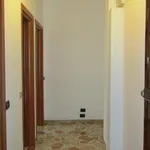 Rent 2 bedroom apartment of 60 m² in Milano