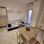 Rent 2 bedroom apartment of 40 m² in Cremona