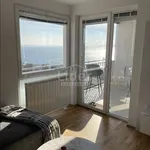 Rent 2 bedroom apartment of 47 m² in Grad Rijeka