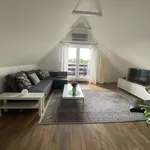 Rent 1 bedroom apartment of 65 m² in Düsseldorf