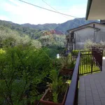 Rent 11 bedroom house of 210 m² in Borgo a Mozzano