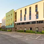 Rent 1 bedroom apartment in Nottingham