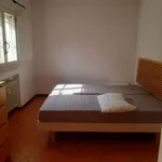 Rent 1 bedroom apartment of 55 m² in Modena