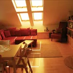 Rent 2 bedroom apartment of 55 m² in Ilmenau