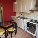 Rent 1 bedroom apartment of 50 m² in Catania