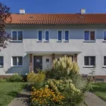 Rent 2 bedroom apartment of 56 m² in Münster