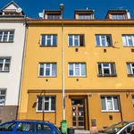 Rent 1 bedroom apartment of 29 m² in Capital City of Prague