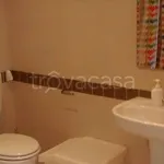 Rent 1 bedroom apartment of 40 m² in Bologna