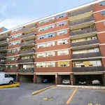 Rent 1 bedroom apartment in toronto