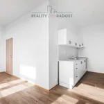 Rent 1 bedroom apartment of 41 m² in Ostrava