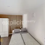 Rent 1 bedroom apartment of 32 m² in Zlín