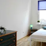 Rent 3 bedroom apartment of 67 m² in Łódź