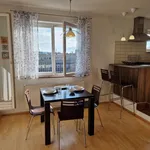 Rent 1 bedroom apartment of 60 m² in Prague