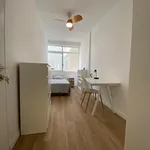 Rent 6 bedroom apartment in Castelló de la Plana