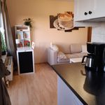 Miete 2 Schlafzimmer wohnung von 40 m² in Leipzig