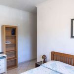 Rent a room in Roma