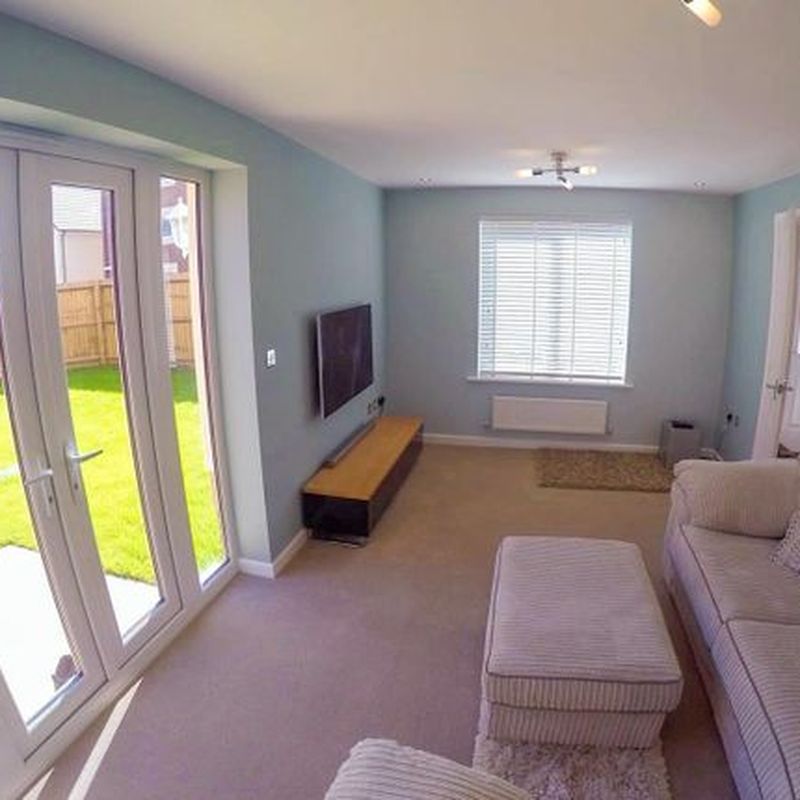 Detached house to rent in Emerald Way, Bridgwater TA6