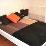 Rent 5 bedroom apartment in Madrid