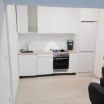 Rent 2 bedroom apartment of 43 m² in Ostrava