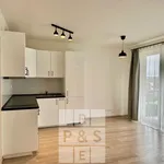 Rent 1 bedroom apartment in Praha 5