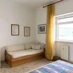 Rent a room of 65 m² in rome