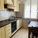 Rent 5 bedroom apartment of 80 m² in Padua