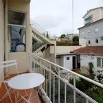 Rent 4 bedroom apartment in Coimbra