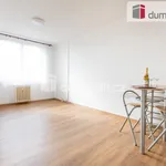 Rent 2 bedroom apartment of 41 m² in Rakovník