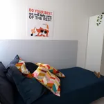 Rent 9 bedroom apartment in Trento