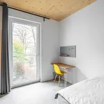 Miete 3 Schlafzimmer wohnung in Berlin