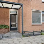 Rent 4 bedroom apartment of 126 m² in Almere