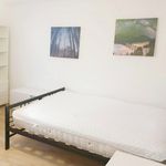 Rent a room in East Of England