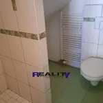 Rent 1 bedroom apartment in Podbořany